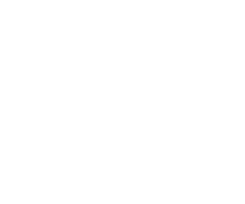 t2
